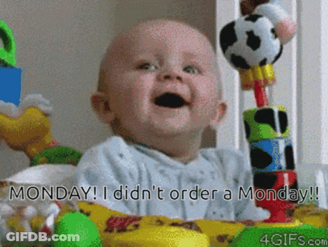 I Didn't Order Monday Monday GIF