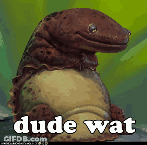 I Don't Get It Dude Wat GIF
