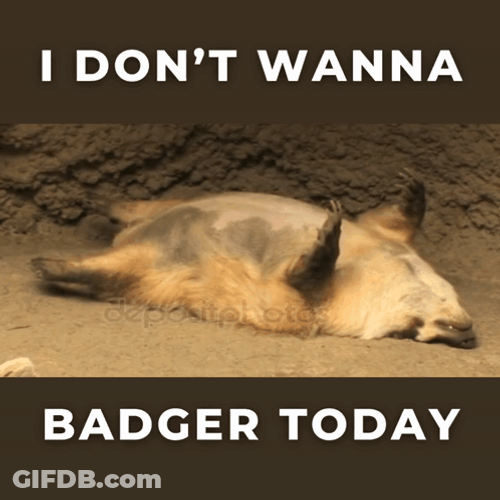I Dont Wanna Badger Today GIF