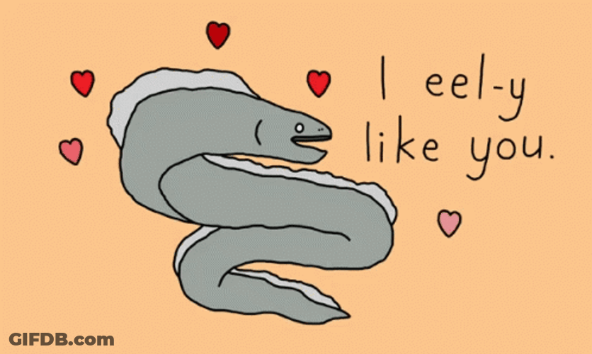I Eel-Y Like You GIF
