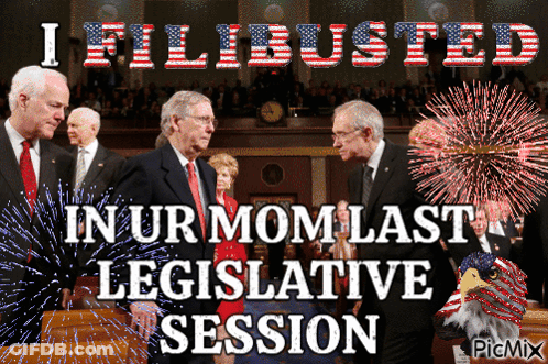 I Filibustered In Ur Mom's Last Legislative Session GIF