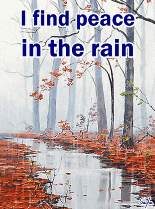 I Find Peace In The Rainy Monday GIF
