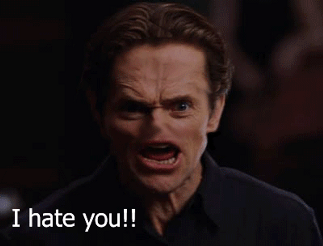 I Hate You Funny GIF