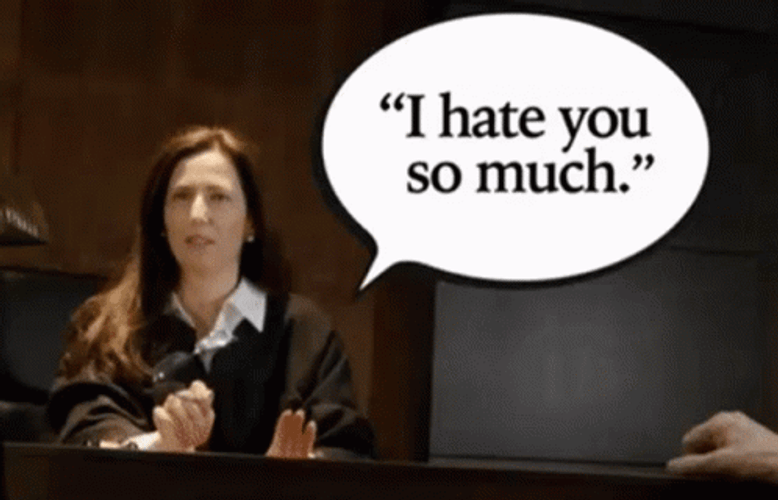 I Hate You Lawyer Judge GIF