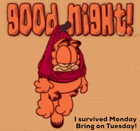 I Have A Positive Monday Goodnight GIF