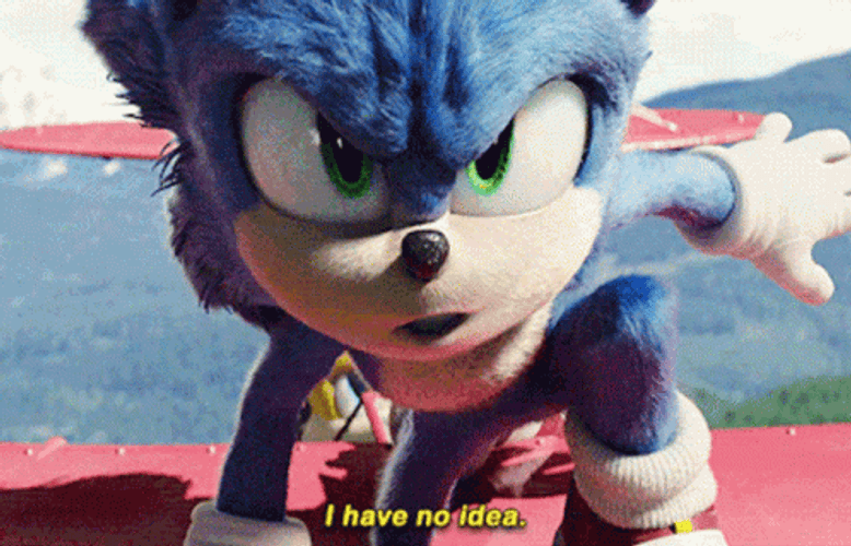 I Have No Idea Sonic GIF
