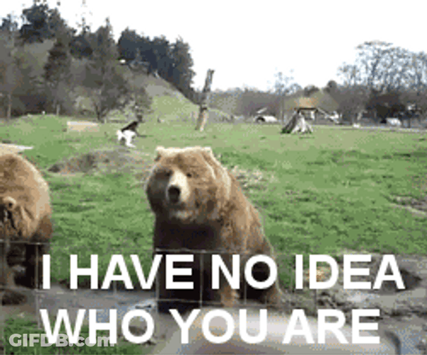 I Have No Idea Who You Are GIF