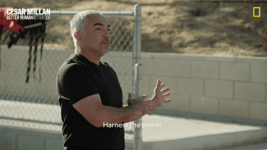 I Have The Power Cesar Millan GIF