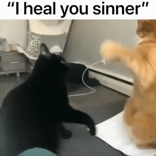 I Heal You Sinner Cats Funny Meme GIF