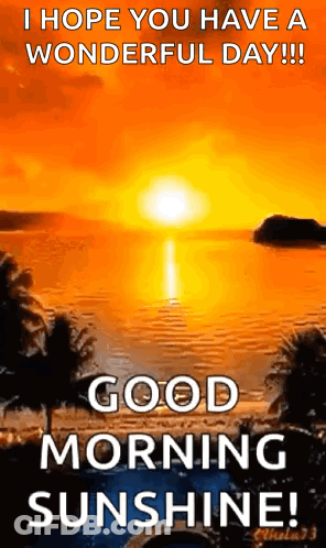 I Hope You Have A Wonderful Day !! Good Morning Sunshine ! GIF