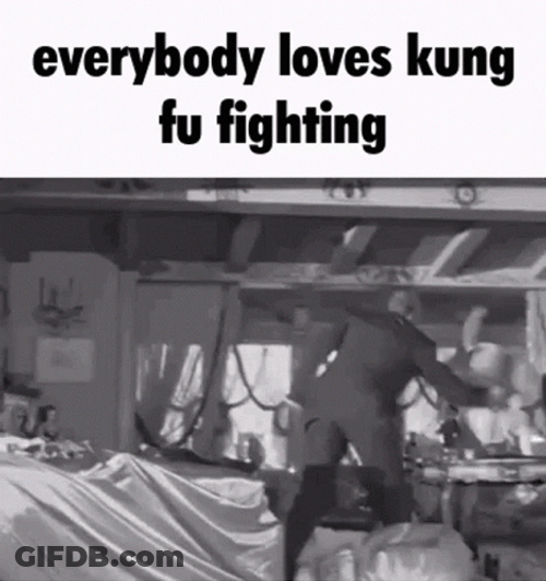 I Know Everybody Loves Kung Fu GIF