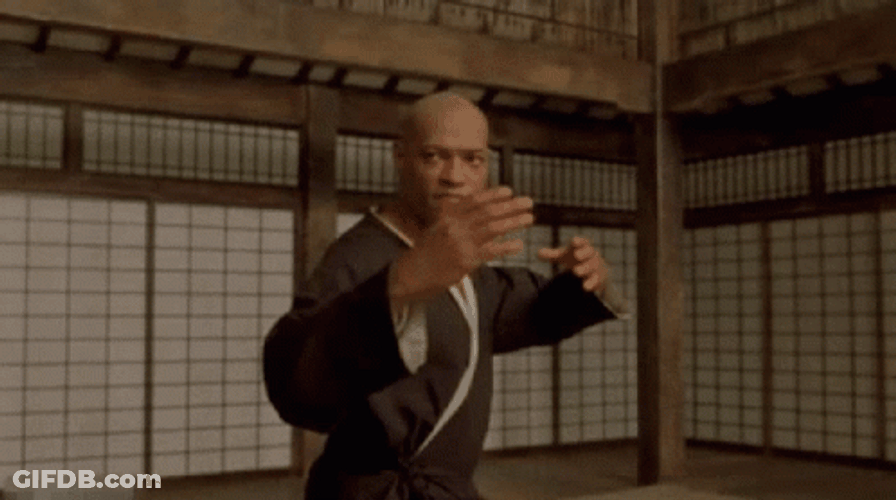 I Know Fighting Kung Fu GIF