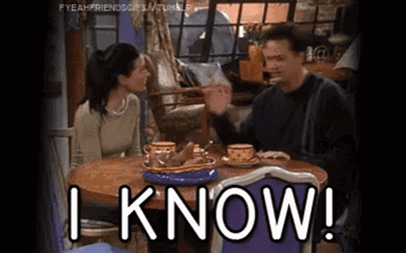 I Know Friends Monica Geller GIF