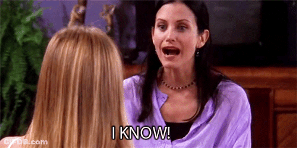 I Know Hyper Monica Geller GIF