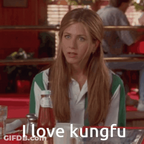 I Know I Love Kung Fu GIF