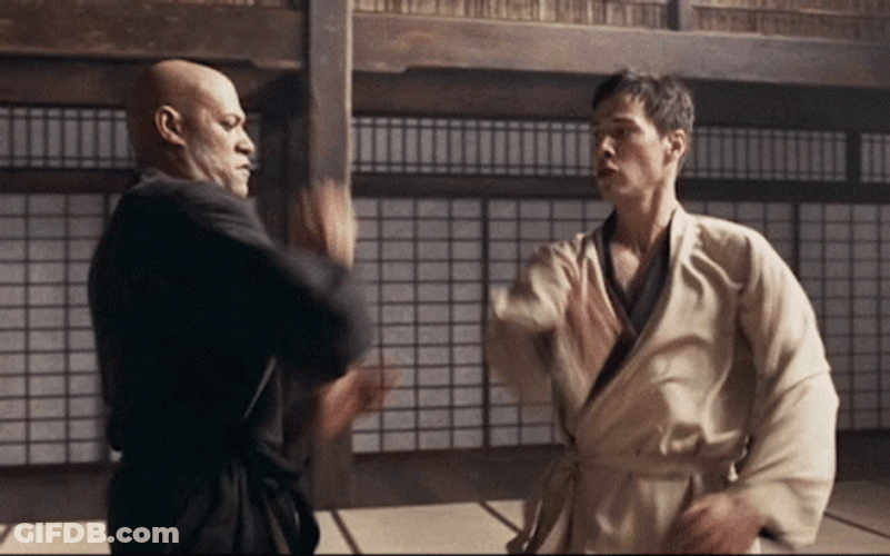 I Know Kung Fu Attack Hit GIF