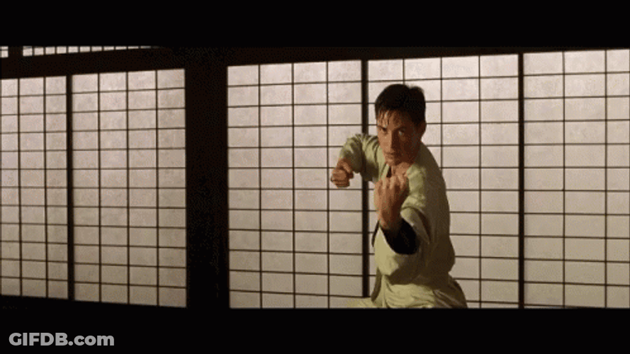 I Know Kung Fu Attack GIF