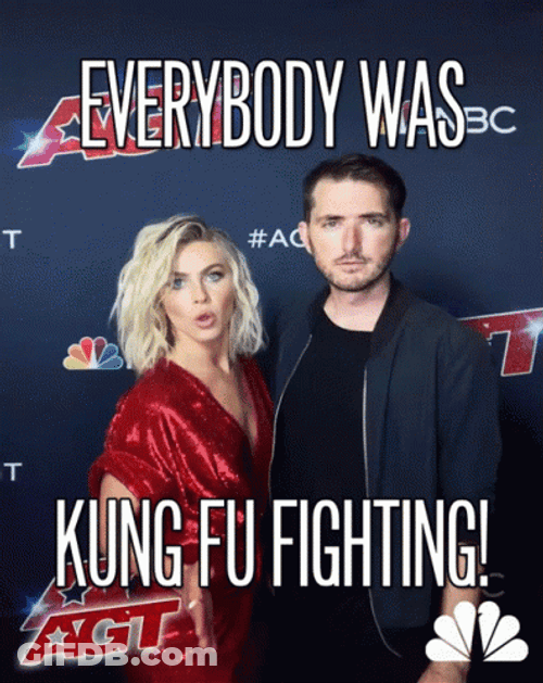 I Know Kung Fu Fighting GIF