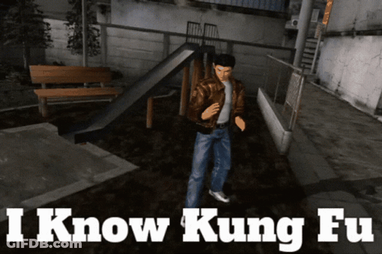 I Know Kung Fu Man Stop GIF