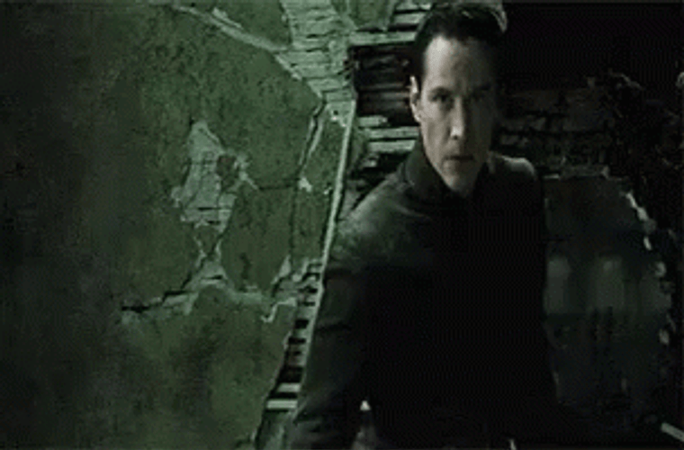 I Know Kung Fu Matrix Revolutions GIF