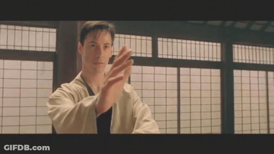 I Know Kung Fu Preparing To Attack GIF