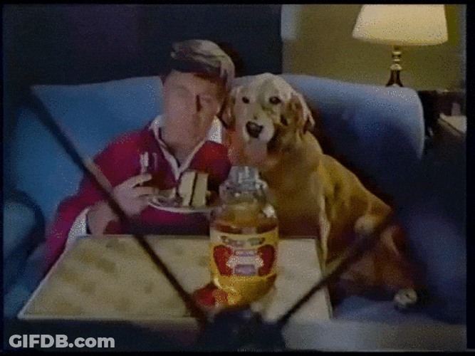 I Learned It From Watching You Guy And Dog Watching Tv GIF