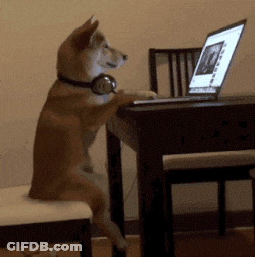 I Learned It From Watching You The Dog Internet GIF