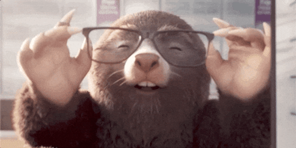 I Like It Mister Bunny GIF