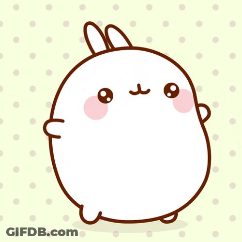 I Like It White Bunny GIF