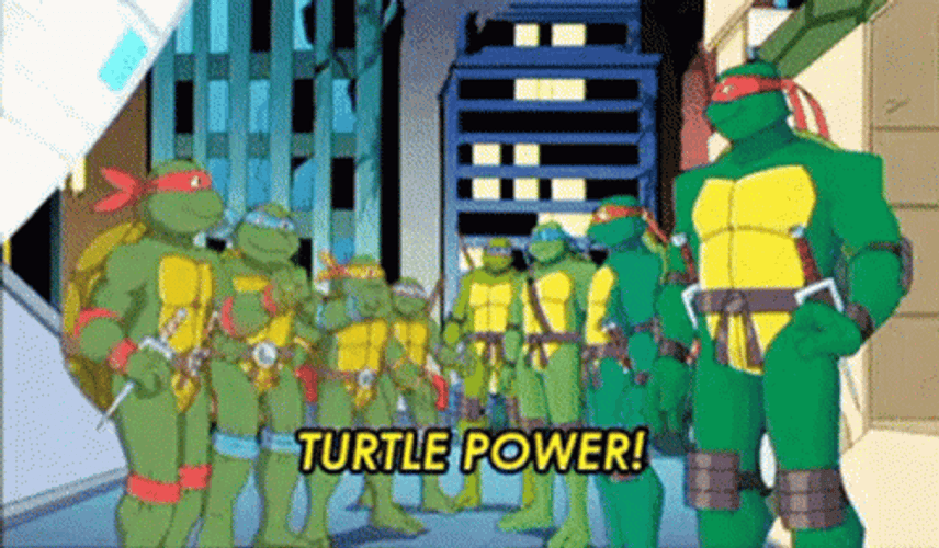 I Like Ninja Turtles Power GIF