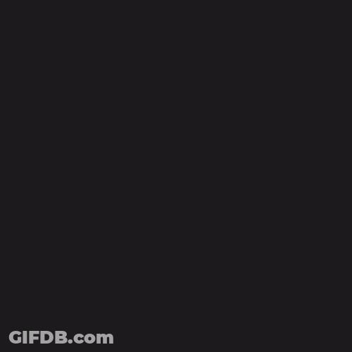 I Like To Move It Move It Animated Raccoon GIF