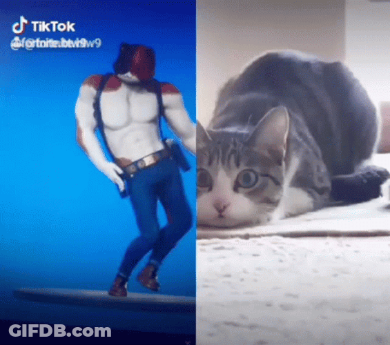 I Like To Move It Move It Fortnite And Cat GIF