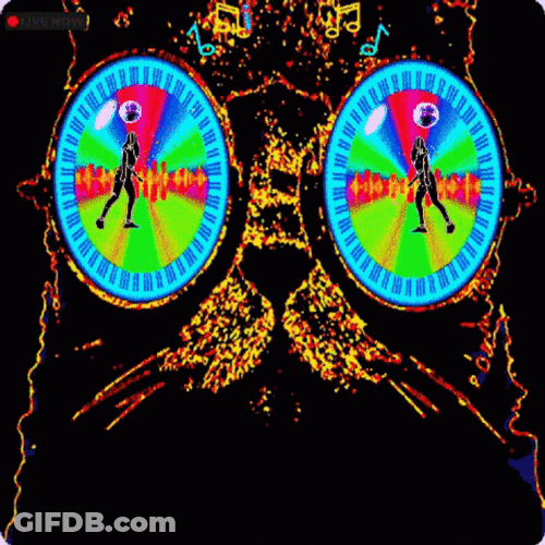 I Like To Move It Move It Trippy Cat GIF