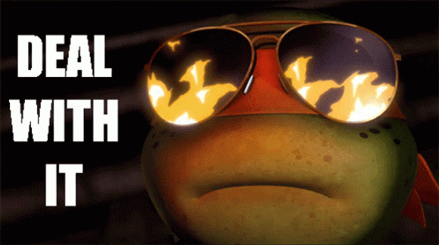 I Like Turtles Deal With It GIF