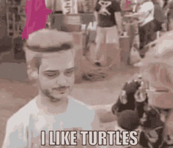 I Like Turtles Kid GIF