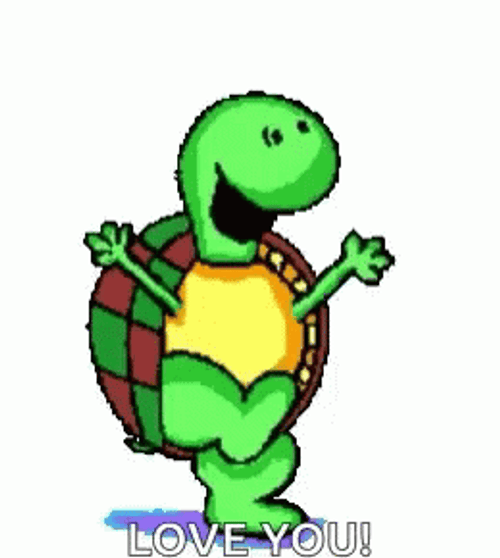 I Like Turtles Love You GIF