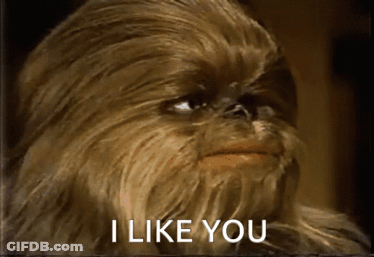 I Like You Chewbacca Dog GIF