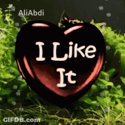 I Like You Heart I Like It GIF