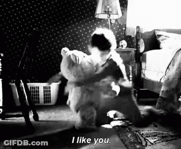 I Like You Hug Teddy Bear GIF
