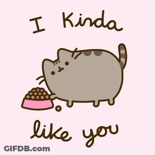 I Like You Pusheen Cat GIF