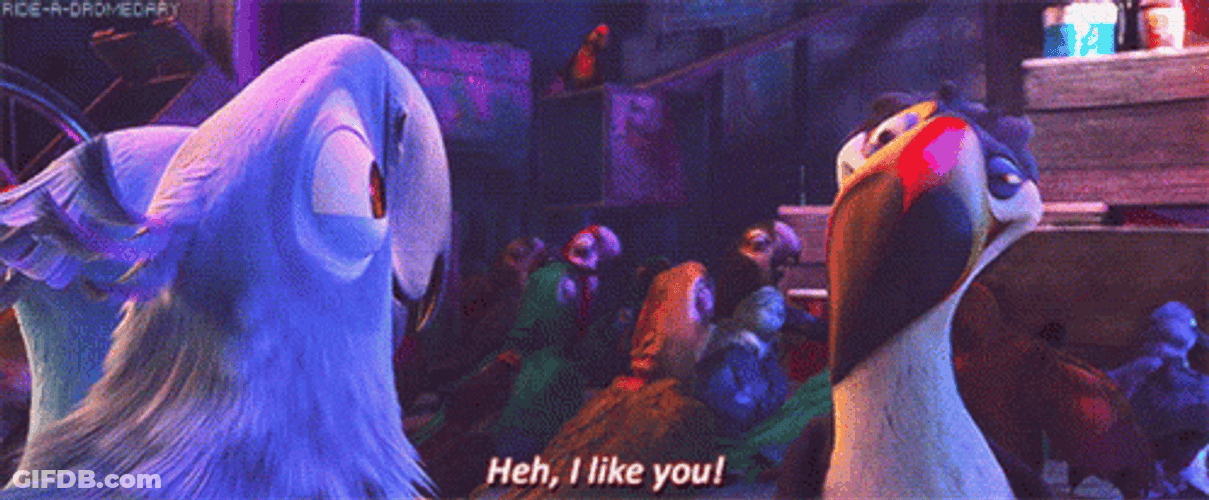 I Like You Rio Happy Feet GIF