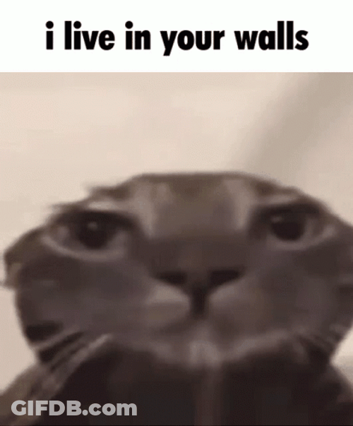 I Live In Your Walls GIF