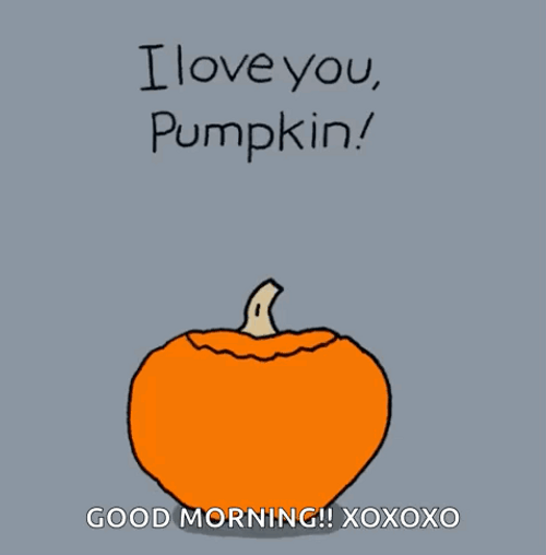 I'll Be Your Pumpkin You'll Be My Spice GIF