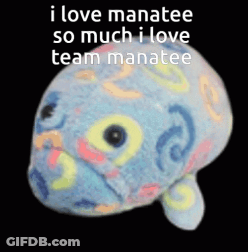 I Love A Team Manatee Toy Plushie GIF
