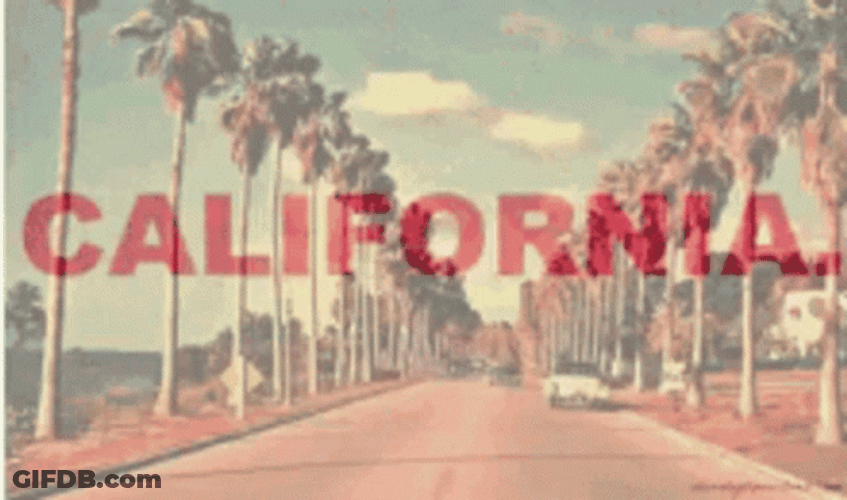 I Love California Palms La GIF