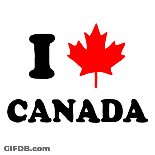 I Love Canada Day Maple Leaf Graphics Design GIF