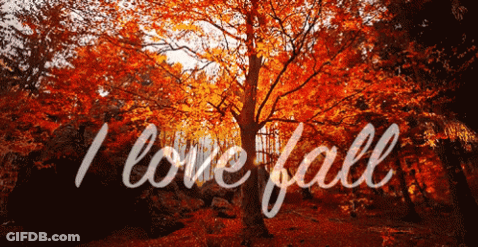 I Love Fall GIF