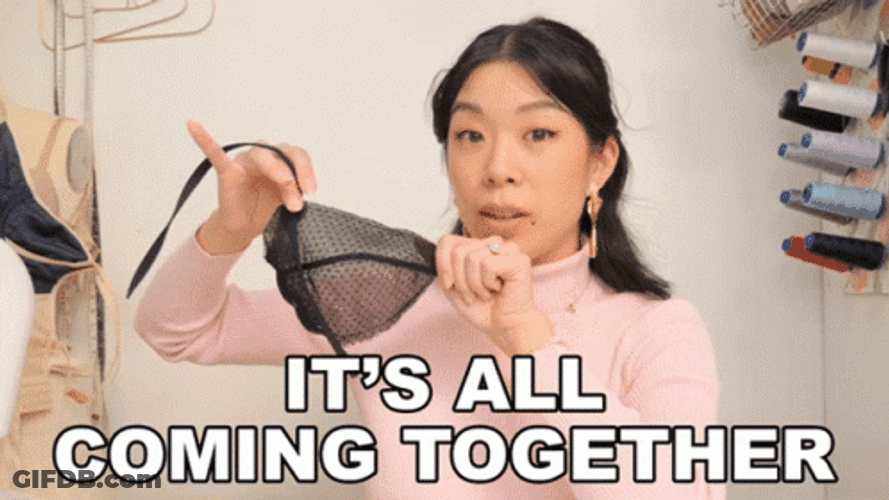 I Love It When A Plan Comes Together Asian Lady GIF