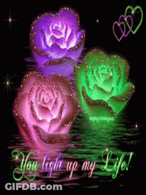 I Love Lamp GIF