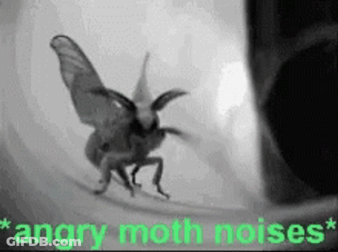 I Love Lamp GIF